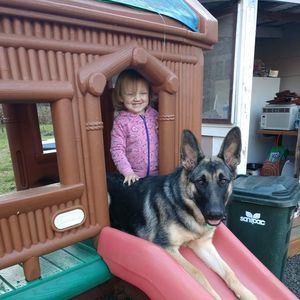 Meet your Posher, Ammanda